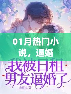最新热门小说推荐，逼婚主题抢先看！