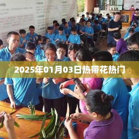 热带花卉热门趋势，2025年1月市场分析