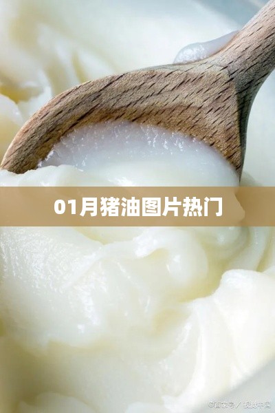 最新猪油图片，一月热门精选