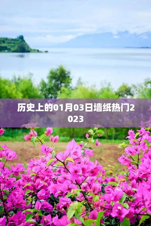 历史上的今日，2023年墙纸流行趋势概览