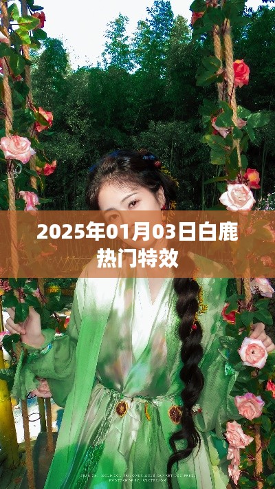白鹿特效揭秘，2025年热门特效盛宴！