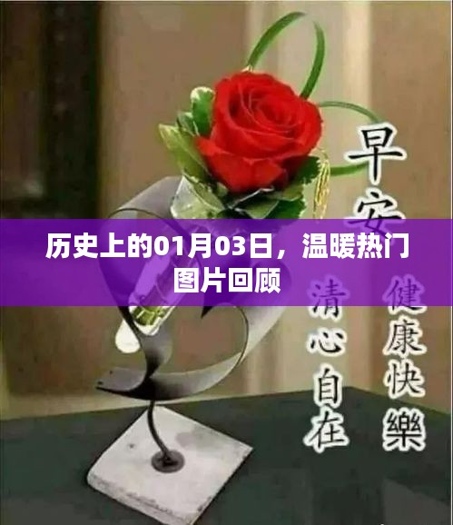 1月3日温暖瞬间，历史热门图片回顾
