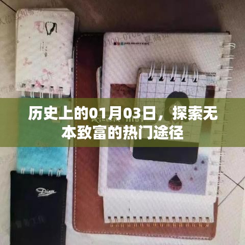 夯雀儿先飞 第3页
