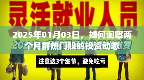 洞察股市风向标，热门股投资动态解析