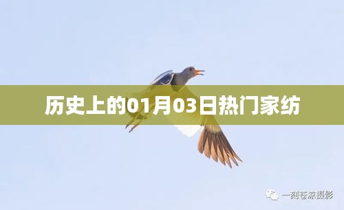 历史上的热门家纺品牌诞生日，一月三日回顾
