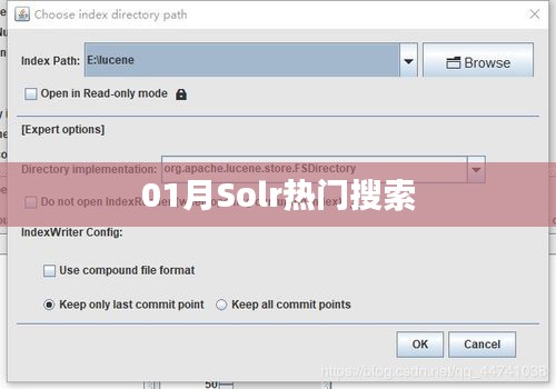 Solr一月热门搜索关键词解析