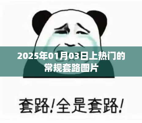 揭秘热门套路图片，常规图片走红于社交媒体