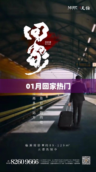 春运回家热门选择
