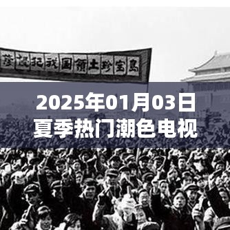 『2025夏季潮色电视剧大赏』