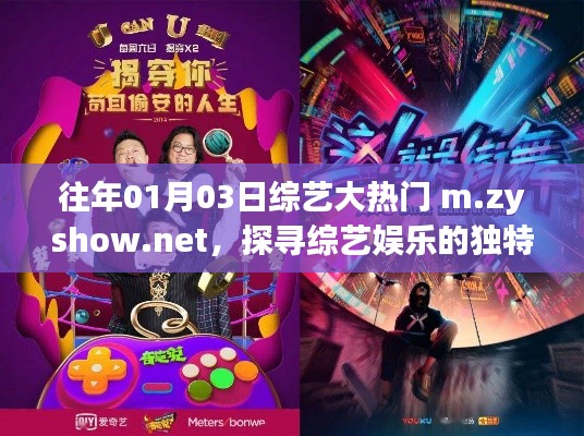 综艺大热门，探寻娱乐魅力，精彩节目一网打尽！