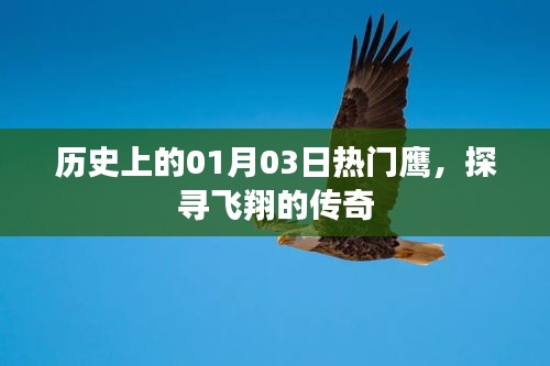 探寻鹰的历史传奇，一月三日飞翔的起源