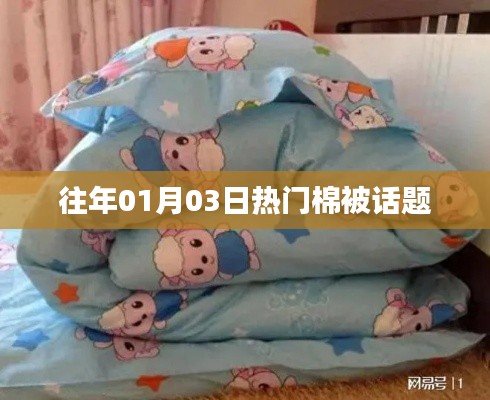 『历年元旦后热门棉被话题盘点』