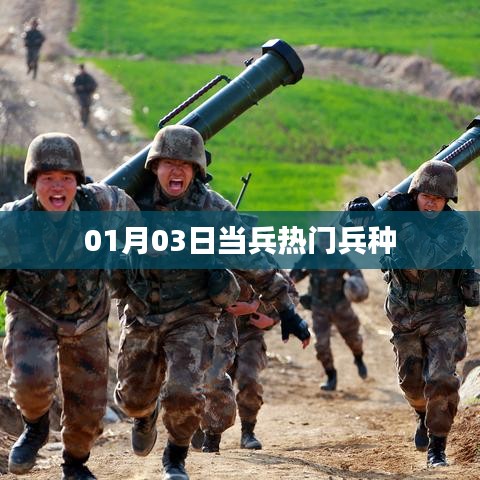 热门兵种揭秘，揭秘当兵热门选择（最新日期，01月03日）