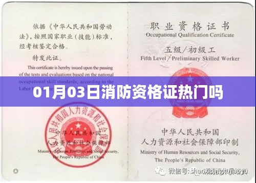 消防资格证热门趋势分析，一月三日的关注度解析