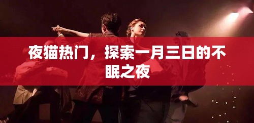 夜猫狂欢夜，一月三日的夜生活探索