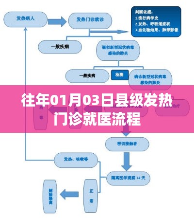 县级发热门诊就医流程详解，往年1月3日的经验与启示