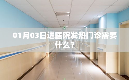 1月3日进医院发热门诊所需准备事项