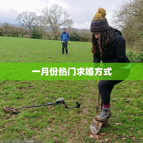 一月份最火的求婚方式