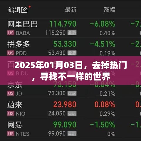 探索别样世界，2025年1月3日的不热门之旅