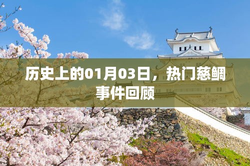 热门慈鲷事件回顾，历史上的1月3日