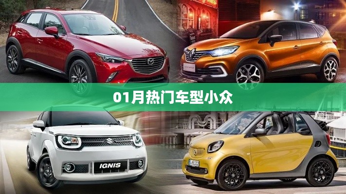 精选小众热门车型，一月新车大盘点