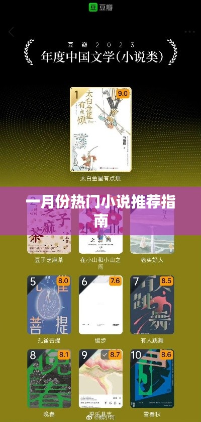 一月份必读小说推荐指南