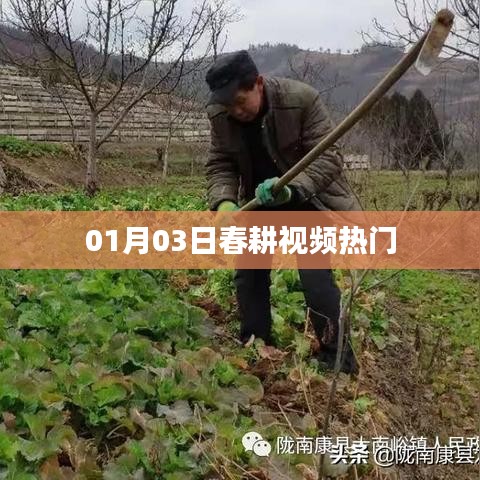 春耕时节，热门视频一览