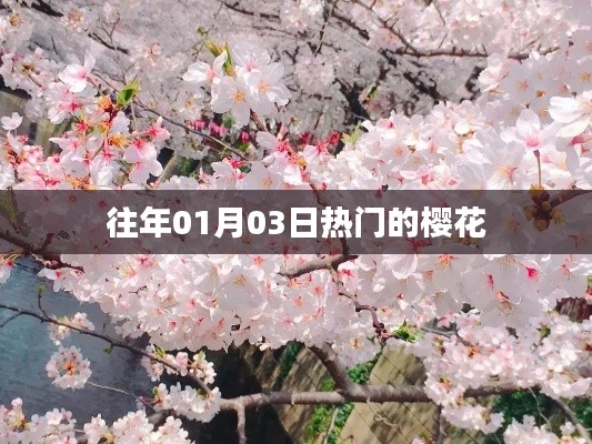 群雌粥粥 第2页