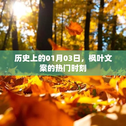 枫叶文案热门时刻，历史一月三日回顾