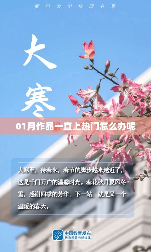 作品持续热门，应对策略分享