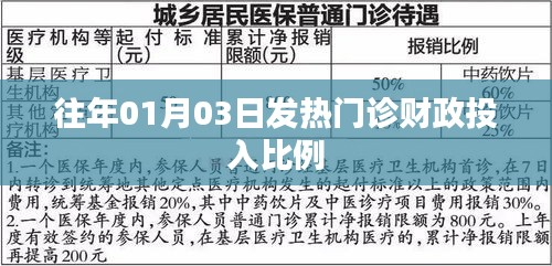 往年元旦后发热门诊财政投入比例分析