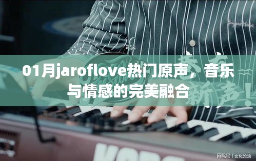 01月jaroflove热门原声，音乐与情感的交融盛宴