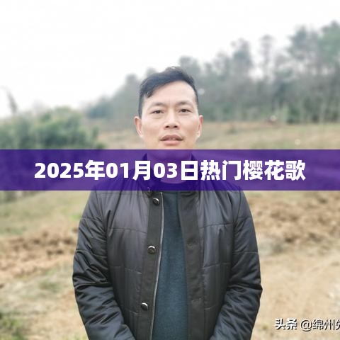 『2025年樱花季之歌，热门旋律悉数登场』