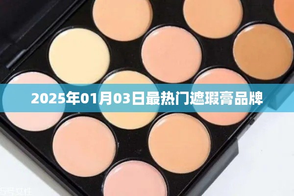 『2025年热门遮瑕膏品牌榜单揭晓』