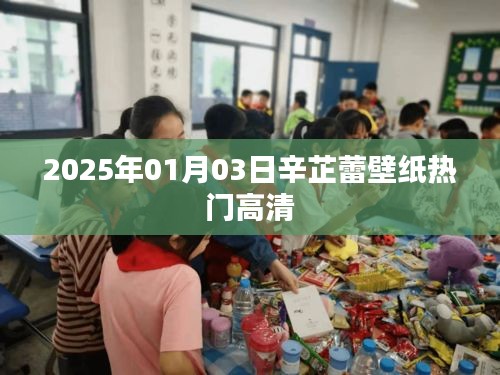 辛芷蕾壁纸精选，高清热门，尽在此处！