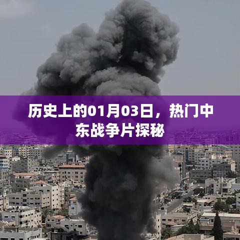 夫妻本是同林鸟 第3页