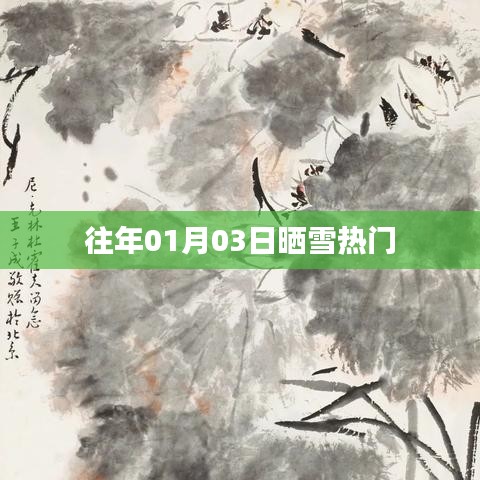 晒雪热门回顾，历年一月三日雪景盘点