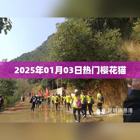 『2025年元旦樱花猫成热门话题』