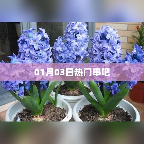 热门串吧，美食盛宴不容错过