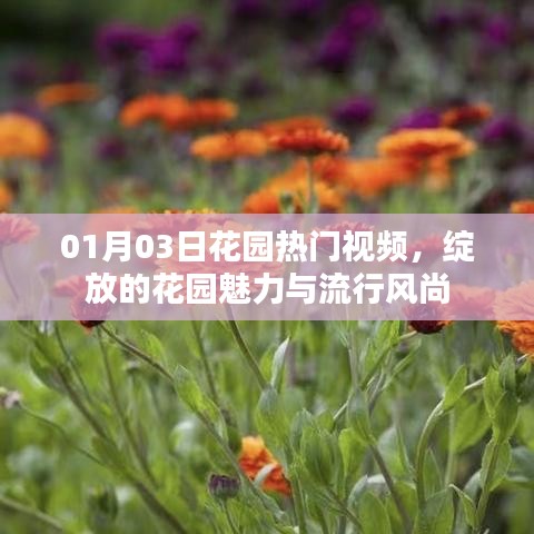 花园魅力与流行风尚，热门视频展现最新风尚