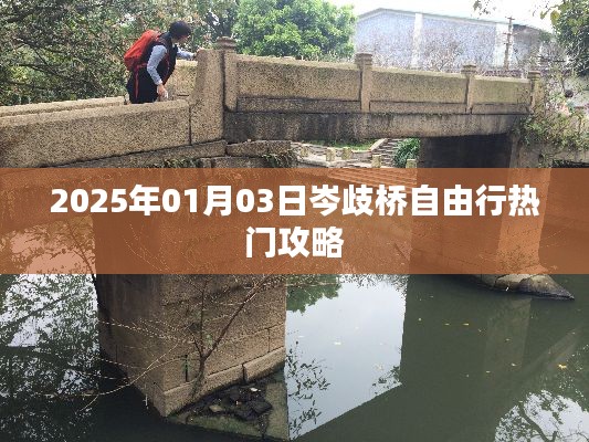 岑歧桥自由行指南，热门攻略与体验