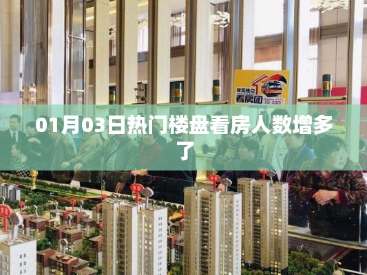 热门楼盘看房人数激增，市场热度上升