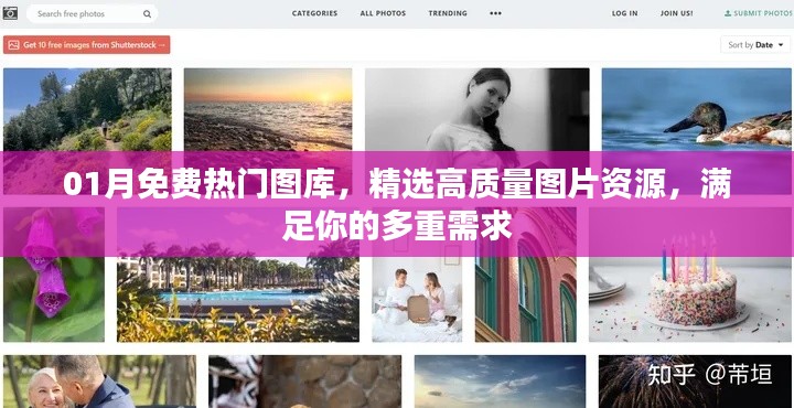 鸟飞兔走 第2页