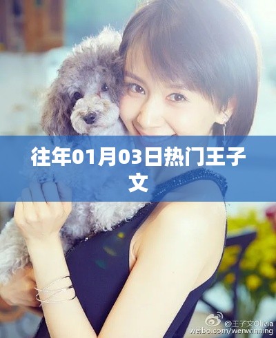 王子文历年一月三日热点瞬间回顾