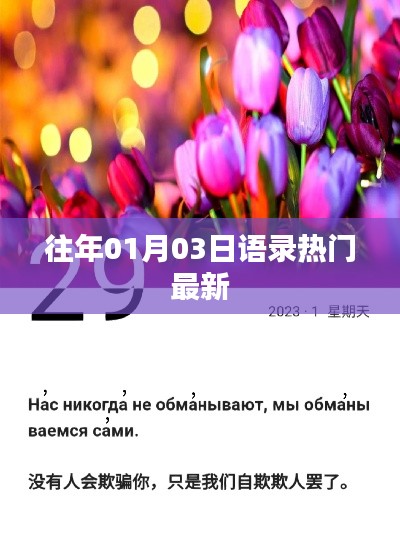 衣不重彩 第3页