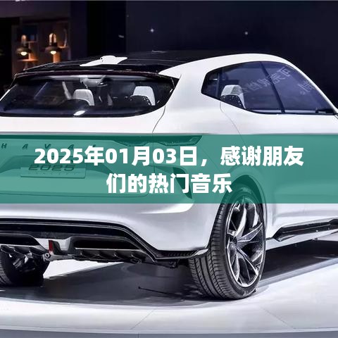 2025年热门音乐盛宴，感谢朋友们的陪伴与分享