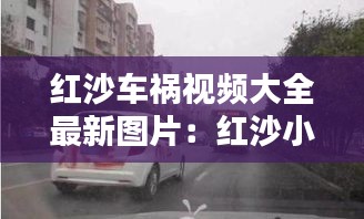 红沙车祸视频大全最新图片：红沙小区 