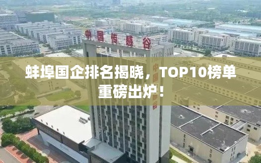 蚌埠国企排名揭晓，TOP10榜单重磅出炉！