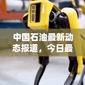 中国石油最新动态报道，今日最新消息汇总