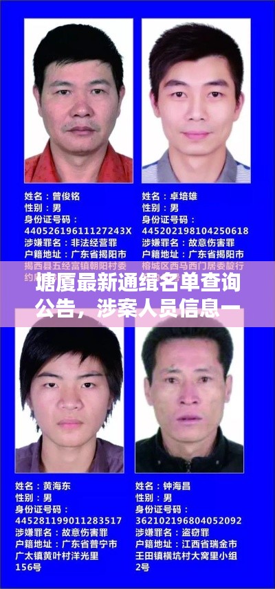 塘厦最新通缉名单查询公告，涉案人员信息一览